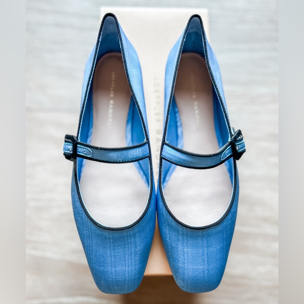 NWT Loeffler Randall Ginger Blue Moire Mary Jane Size 8